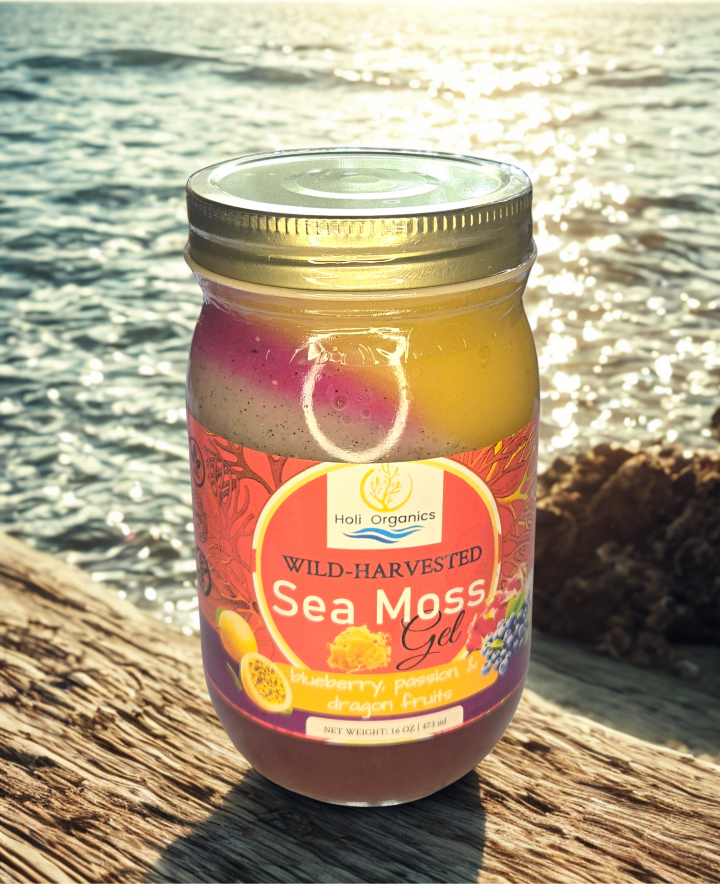 Organic Blueberry, Organic Passion Fruit & Dragon Fruit Infused Sea Moss Gel 16oz