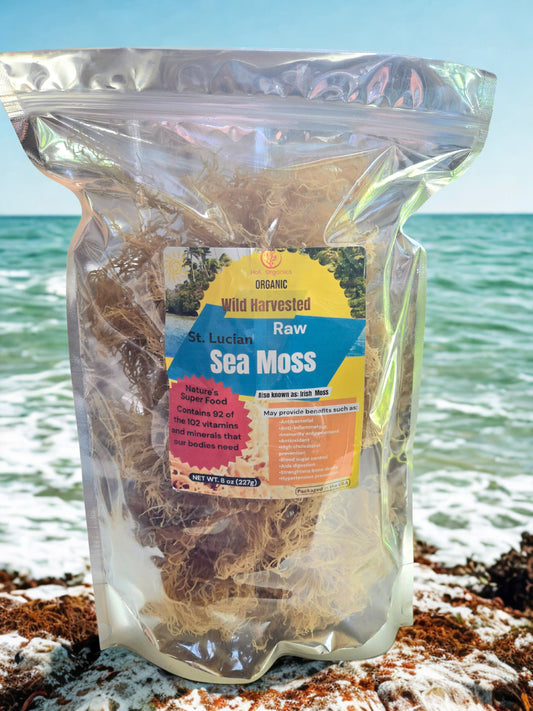 8oz Wildcrafted Original St. Lucian Raw Sea Moss