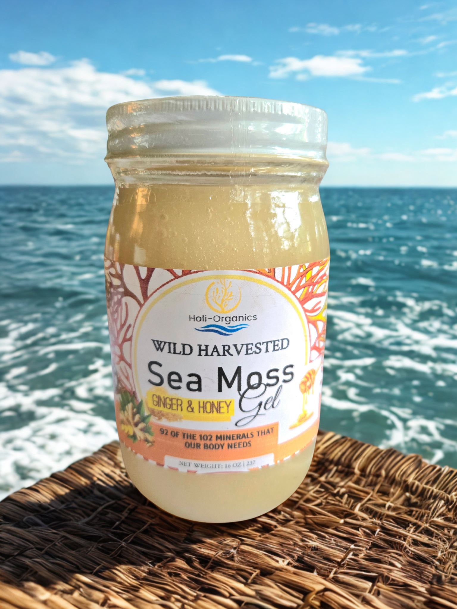 Organic Raw Honey and Ginger 16oz