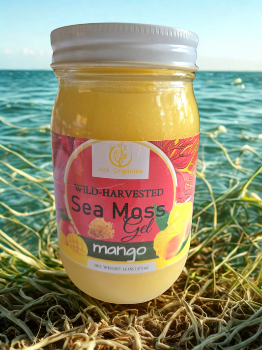 Organic Mango Infused Sea Moss Gel 16oz