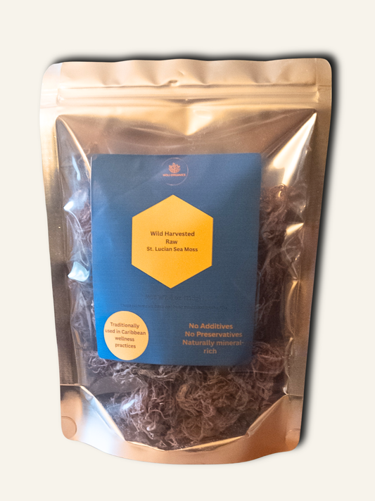 4oz Wild Harvested Purple St. Lucian Sea Moss