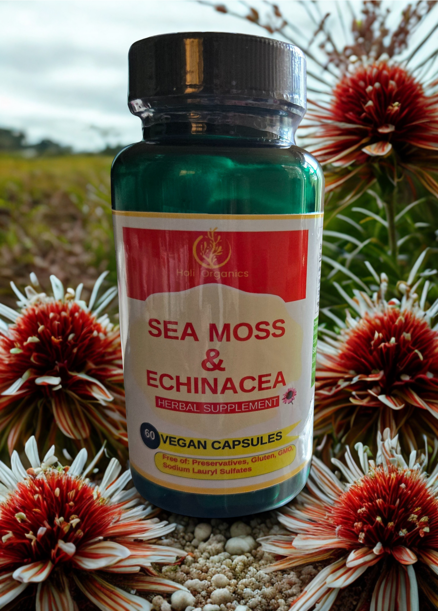 Sea Moss & Echinacea Supplement