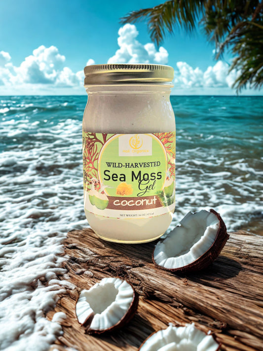 Organic Blueberry, Passion Fruit & Dragon Fruit Sea Moss Gel 16oz