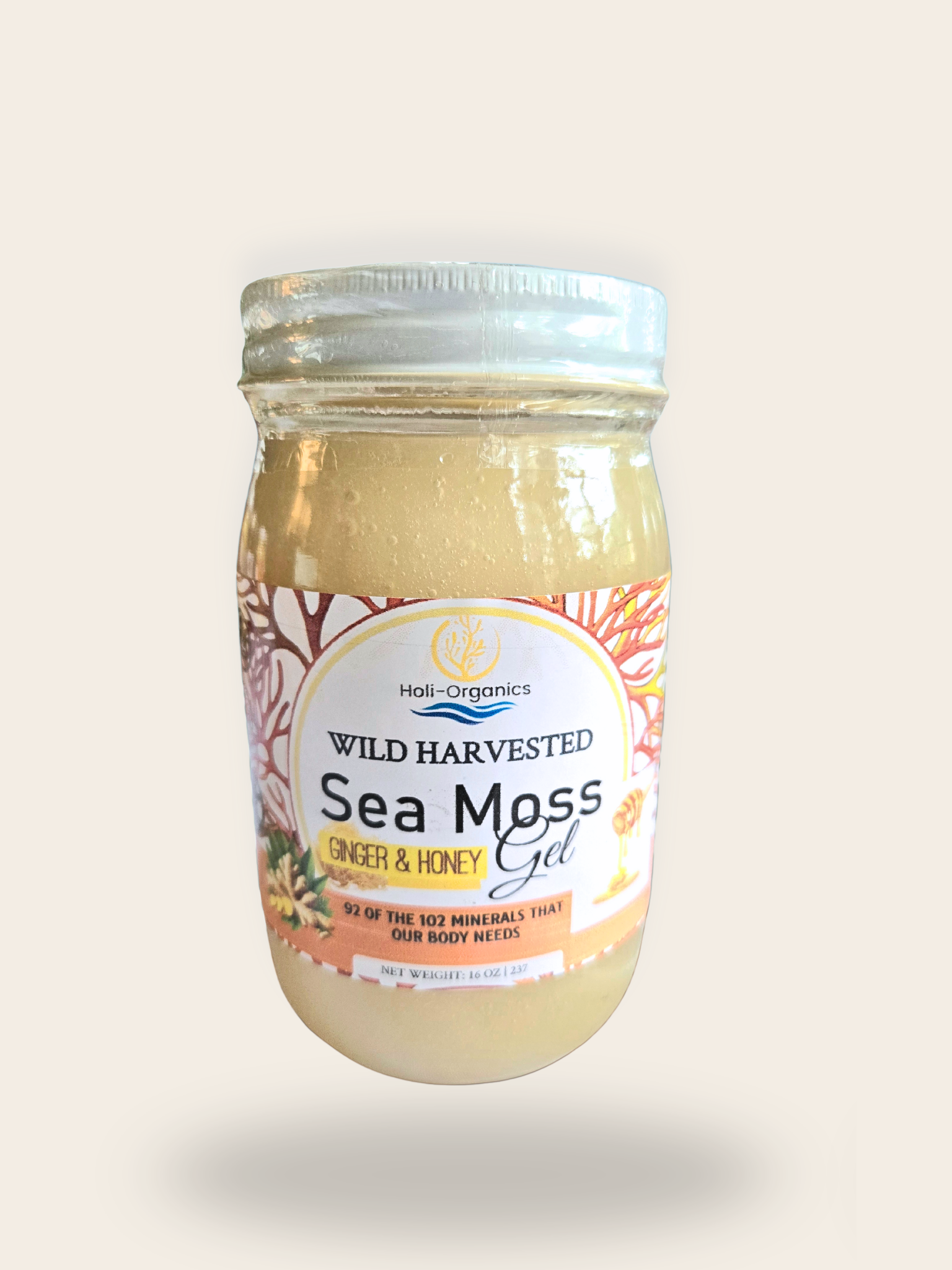 Organic Raw Honey and Ginger 16oz